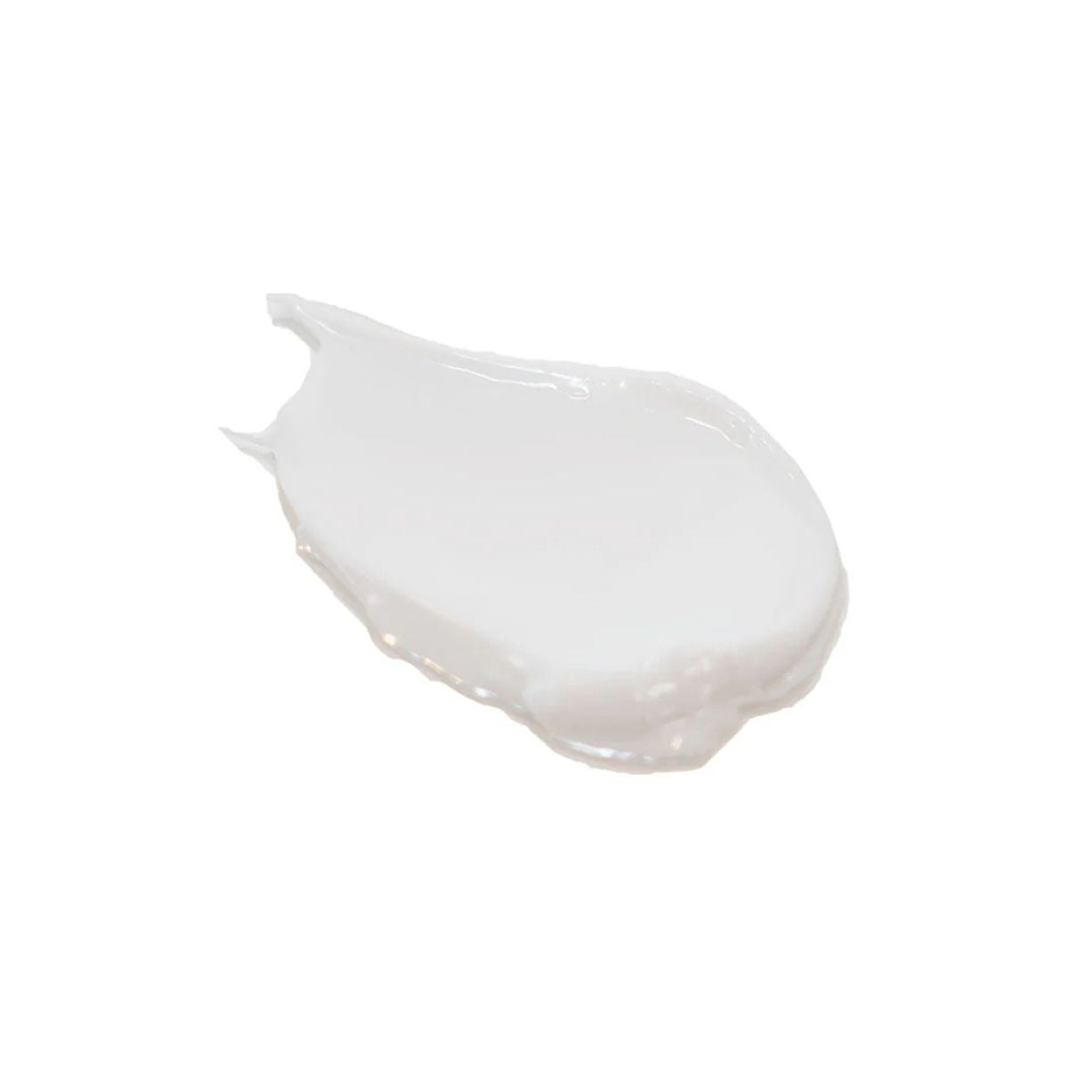 Absowater Spa Treatment Moist Cream - 30g - Harajuku Culture Japan - Japanease Products Store Beauty and Stationery