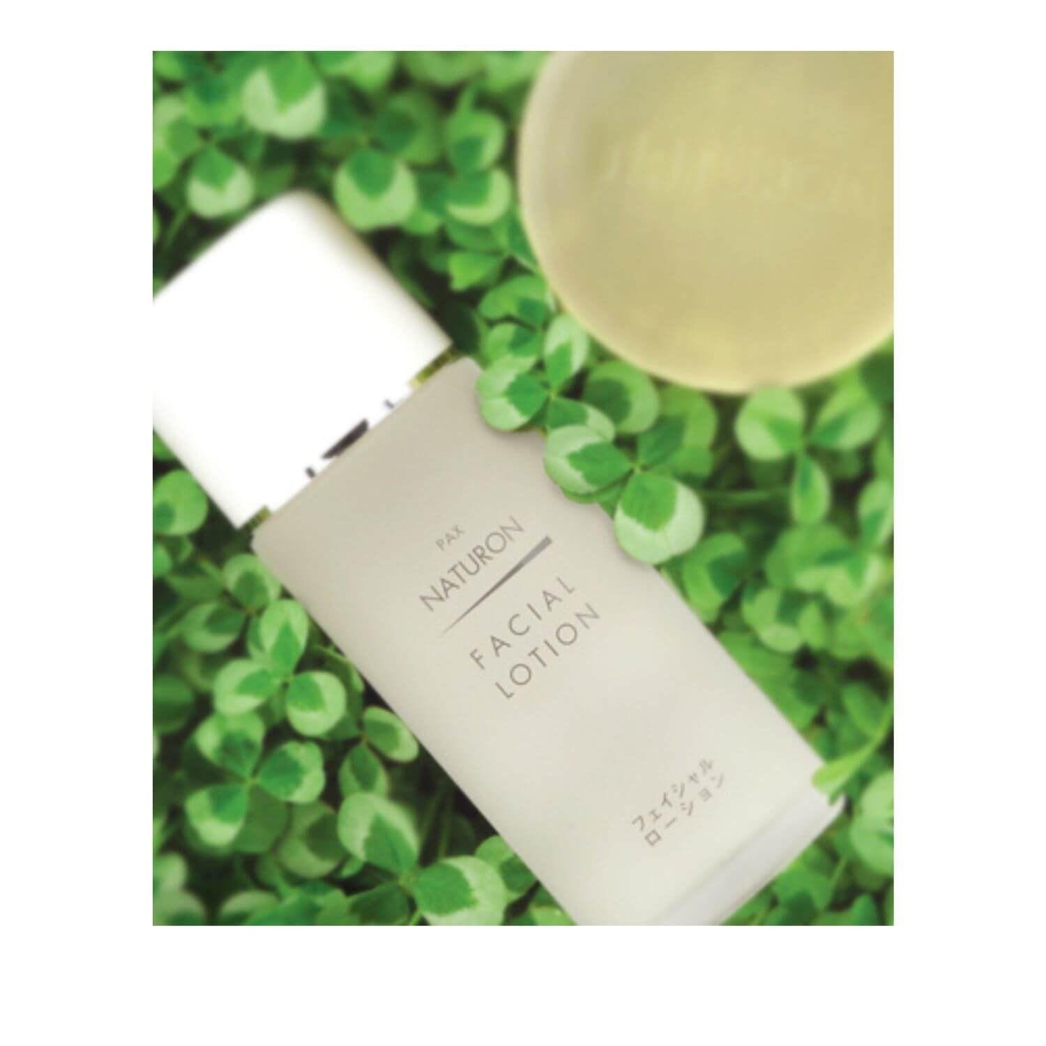 PAX NATURON Facial Lotion Refreshing Type - 100mL - Harajuku Culture Japan - Japanease Products Store Beauty and Stationery