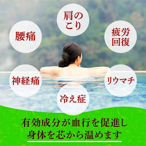 Earth Yumeguri Japanese Hot Spring Yakusen Meguri 30g x 15pcs - Harajuku Culture Japan - Japanease Products Store Beauty and Stationery