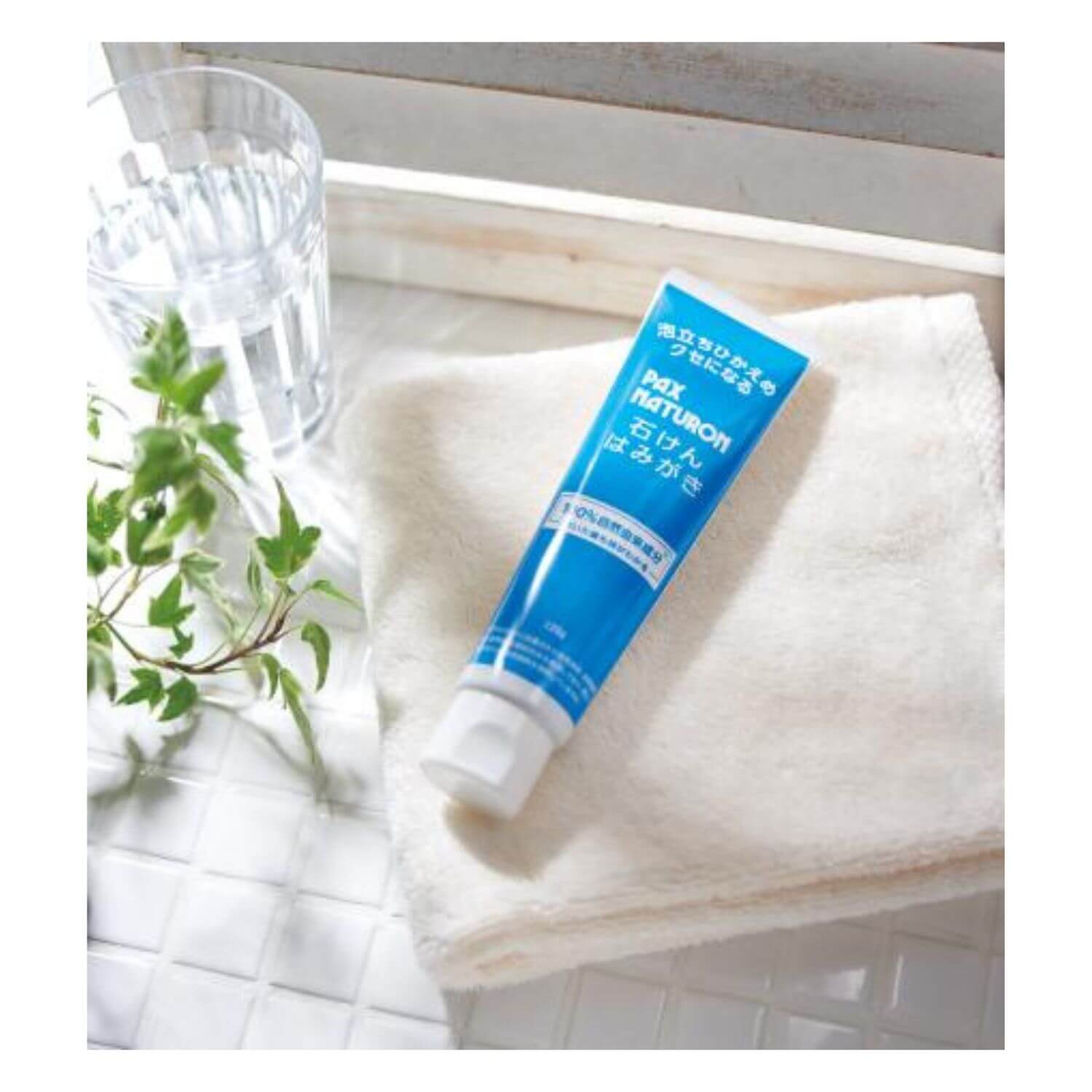 PAX NATURON Soap-Based Toothpaste - 120g - Harajuku Culture Japan - Japanease Products Store Beauty and Stationery