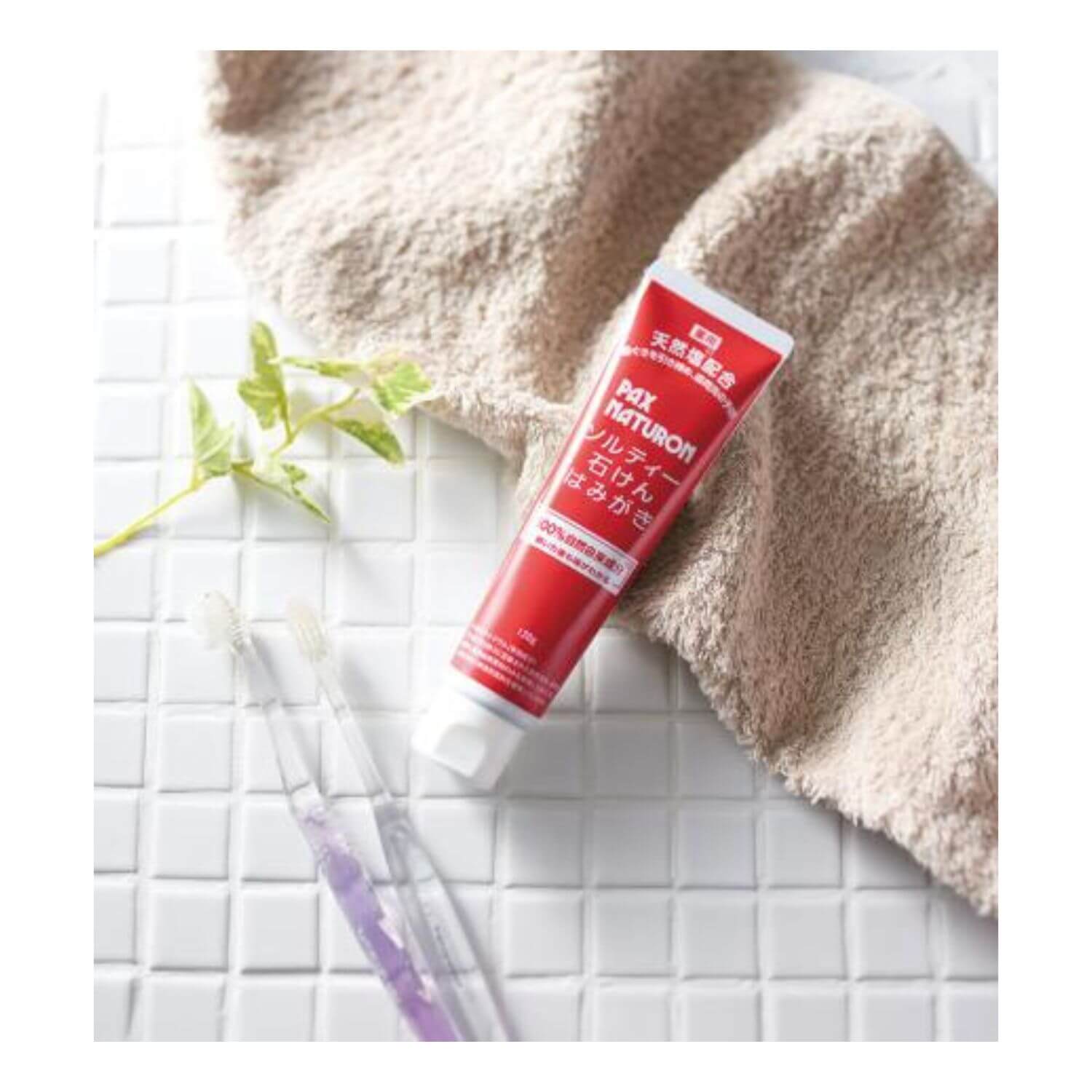 PAX NATURON Salty Soap-Based Medicated Toothpaste For gum care - 120g - Harajuku Culture Japan - Japanease Products Store Beauty and Stationery