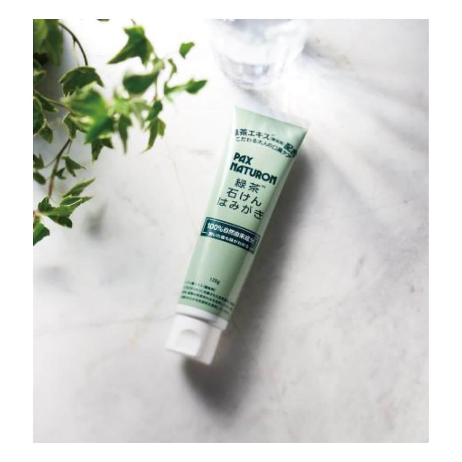PAX NATURON Green Tea Soap-Based Toothpaste For Bad Breath Care - 120g - Harajuku Culture Japan - Japanease Products Store Beauty and Stationery