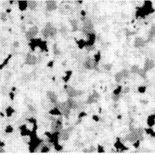 Deleter JR Screen Tone - JR-144 - Harajuku Culture Japan - Japanease Products Store Beauty and Stationery