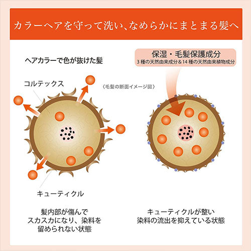 Rêveur Revival For Color Non-Silicone Hair Shampoo - 500ml - Harajuku Culture Japan - Japanease Products Store Beauty and Stationery