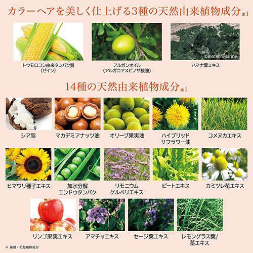 Rêveur Revival For Color Non-Silicone Hair Shampoo - 500ml - Harajuku Culture Japan - Japanease Products Store Beauty and Stationery