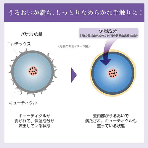 Rêveur Revival Moist & Gloss Non-Silicone Hair Shampoo - 500ml - Harajuku Culture Japan - Japanease Products Store Beauty and Stationery