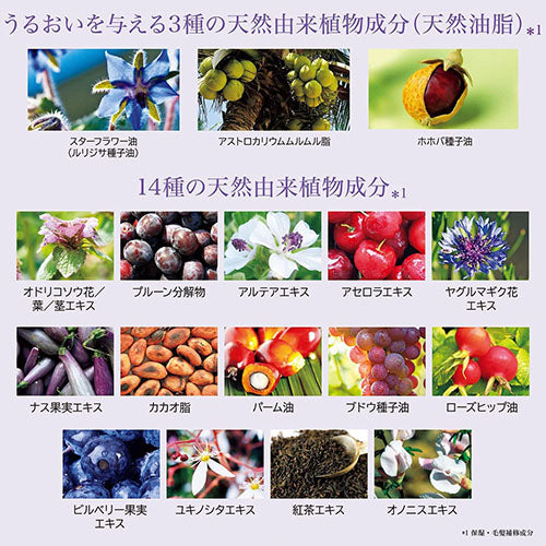 Rêveur Revival Moist & Gloss Non-Silicone Hair Shampoo - 500ml - Harajuku Culture Japan - Japanease Products Store Beauty and Stationery