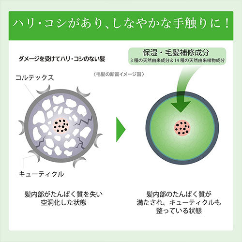 Rêveur Revival Rich & Repair Non-Silicone Hair Shampoo - 500ml - Harajuku Culture Japan - Japanease Products Store Beauty and Stationery