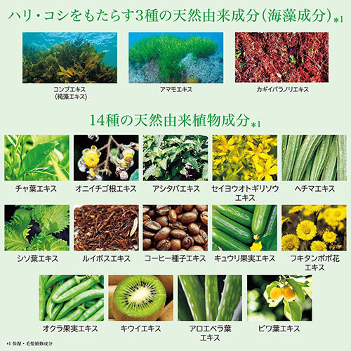 Rêveur Revival Rich & Repair Non-Silicone Hair Shampoo - 500ml - Harajuku Culture Japan - Japanease Products Store Beauty and Stationery