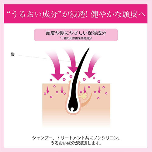 Rêveur Revival Scalp Non-Silicone Hair Shampoo - 500ml - Harajuku Culture Japan - Japanease Products Store Beauty and Stationery