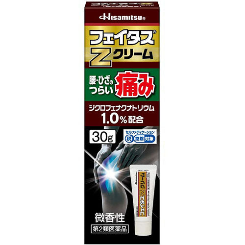 Hisamitsu Feitas Zホア Dicsas Pain Relief Paint - Cream 50g - Harajuku Culture Japan - Japanease Products Store Beauty and Stationery