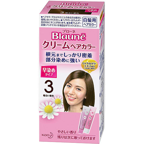 Kao Blaune Cream Hair Color - 3 Light Maroon - Harajuku Culture Japan - Japanease Products Store Beauty and Stationery