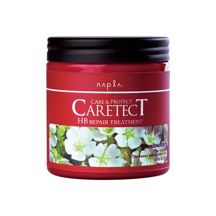Napla Care Tect HB Repair Treatment - 250g - Harajuku Culture Japan - Japanease Products Store Beauty and Stationery