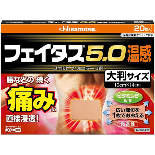 Feitas Pain Relief Patche 5.0 Hot Big Size - 10cmx14cm - Harajuku Culture Japan - Japanease Products Store Beauty and Stationery