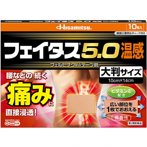 Feitas Pain Relief Patche 5.0 Hot Big Size - 10cmx14cm - Harajuku Culture Japan - Japanease Products Store Beauty and Stationery