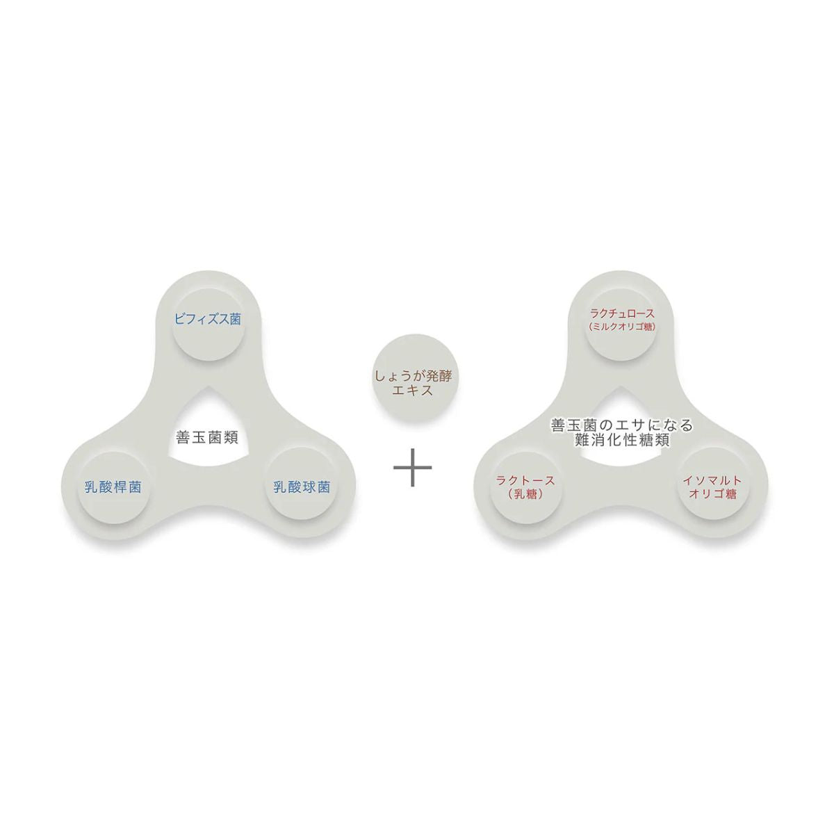 Spa Treatment Smooth Free 35g x 4 pcs - Harajuku Culture Japan - Japanease Products Store Beauty and Stationery