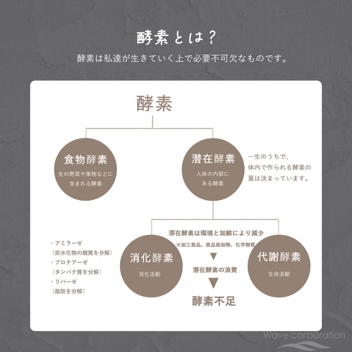 Spa Treatment Raw Enzyme 100 3g x 30 pcs - Harajuku Culture Japan - Japanease Products Store Beauty and Stationery