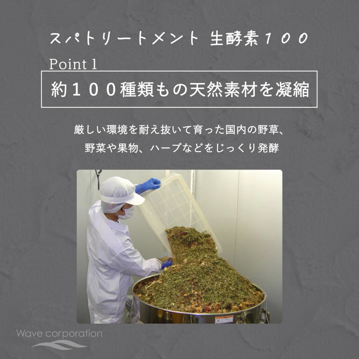 Spa Treatment Raw Enzyme 100 3g x 30 pcs - Harajuku Culture Japan - Japanease Products Store Beauty and Stationery