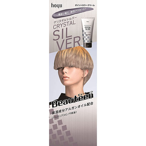 Hoyu Beauteen Point Color Cream - Crystal Silver - Harajuku Culture Japan - Japanease Products Store Beauty and Stationery