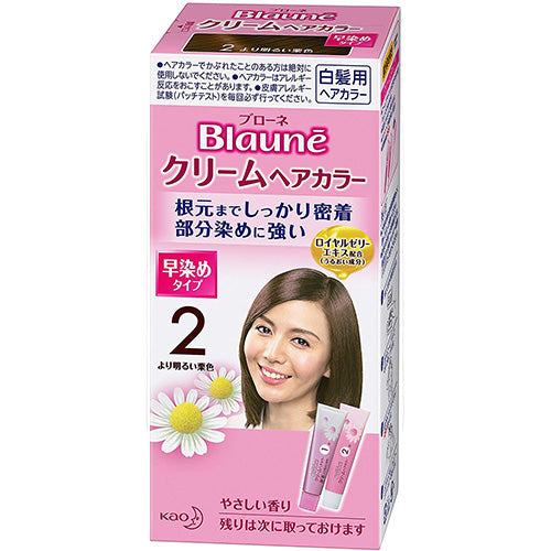 Kao Blaune Cream Hair Color - 2 Lighter Maroon - Harajuku Culture Japan - Japanease Products Store Beauty and Stationery