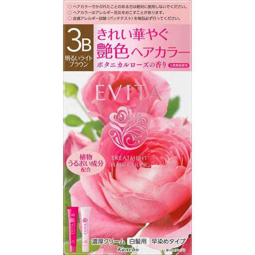 Kanebo EVITA Treatment Hair Color - 3B Bright Light Brown - Harajuku Culture Japan - Japanease Products Store Beauty and Stationery