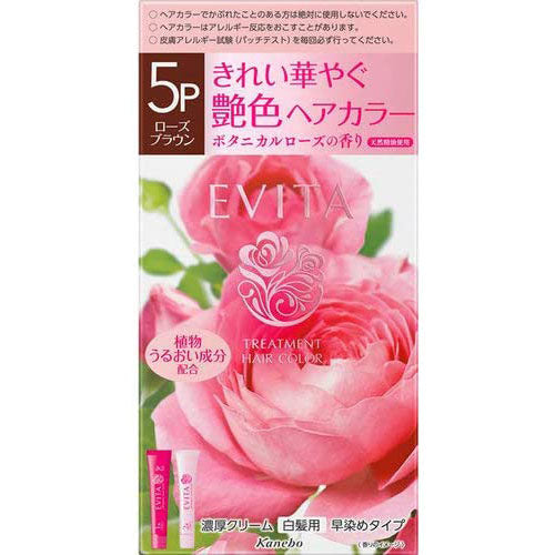 Kanebo EVITA Treatment Hair Color - 5P Rose Brown - Harajuku Culture Japan - Japanease Products Store Beauty and Stationery