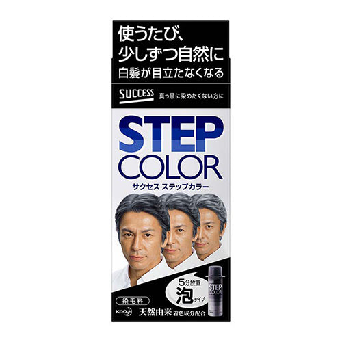 Success Step Coloring Hair 110g - Harajuku Culture Japan - Japanease Products Store Beauty and Stationery