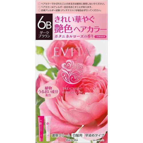 Kanebo EVITA Treatment Hair Color - 6B Dark Brown - Harajuku Culture Japan - Japanease Products Store Beauty and Stationery