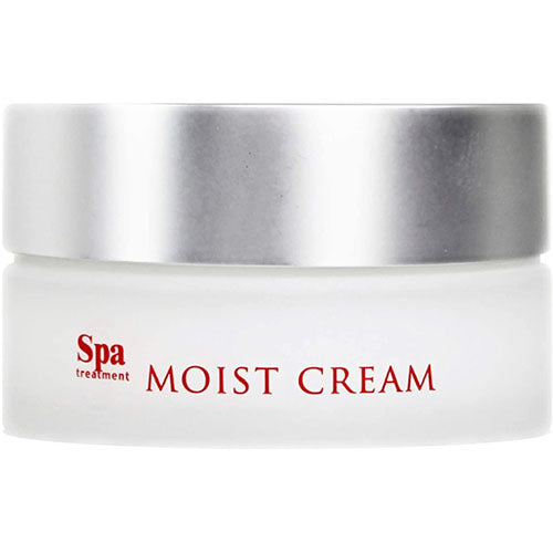 Absowater Spa Treatment Moist Cream - 30g - Harajuku Culture Japan - Japanease Products Store Beauty and Stationery