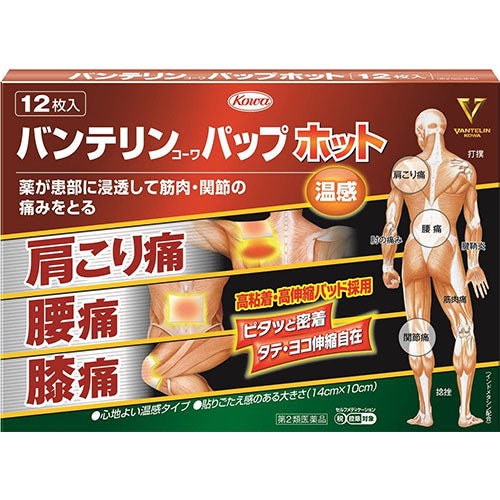 Vantelin Kowa Pain Relief Patches Pap EX Hot - Harajuku Culture Japan - Japanease Products Store Beauty and Stationery
